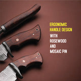 best bobcat fixed blasde knife with rosewood and mosaic pin fot durability at best price in USA online from majesticblades.com