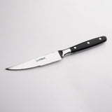 Steak Knife and Fork Set with American Acrylic Handle