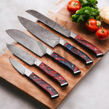 Handmade Damascus Steel Kitchen Chef Knife Set of 5 pcs with Leather Sheath